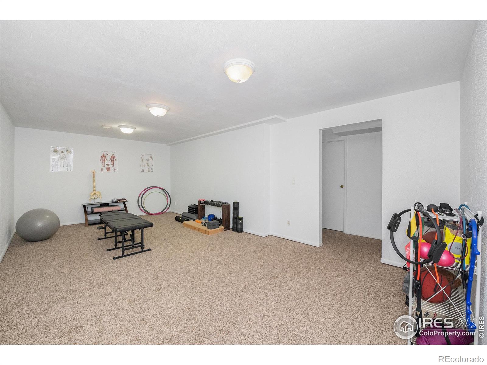 MLS Image #20 for 3515  omaha court,fort collins, Colorado