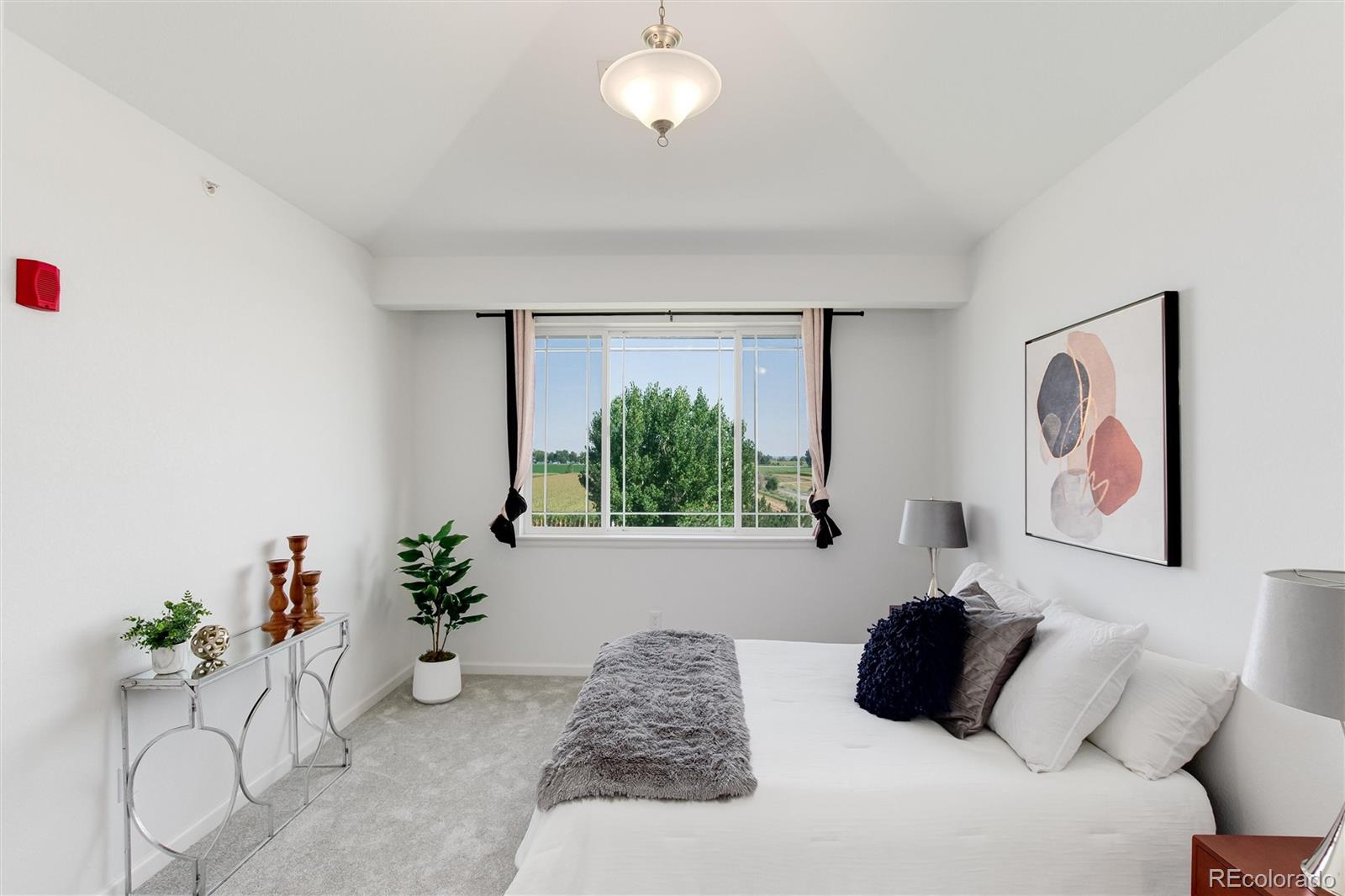 MLS Image #18 for 804  summer hawk drive,longmont, Colorado