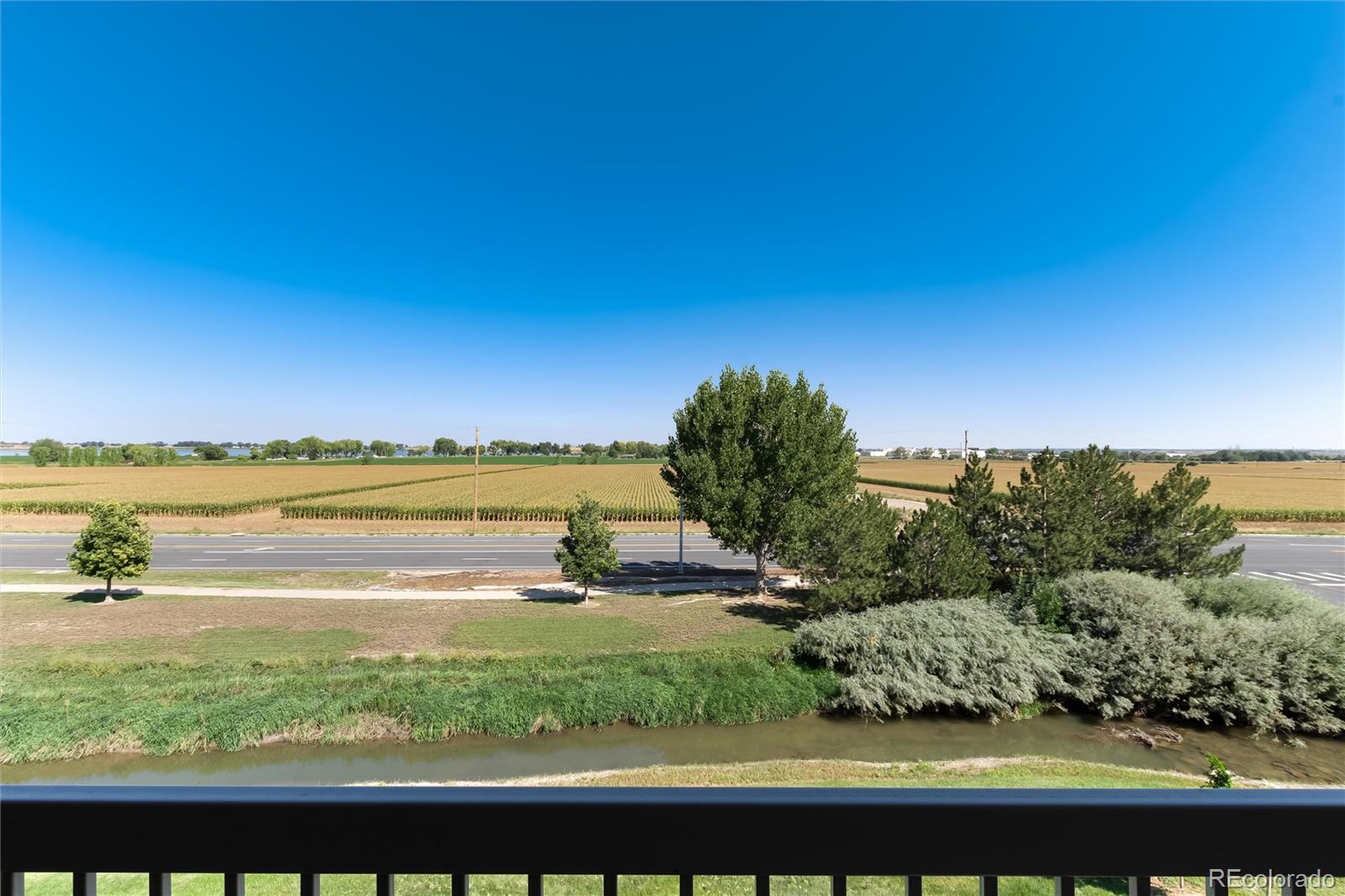 MLS Image #26 for 804  summer hawk drive,longmont, Colorado