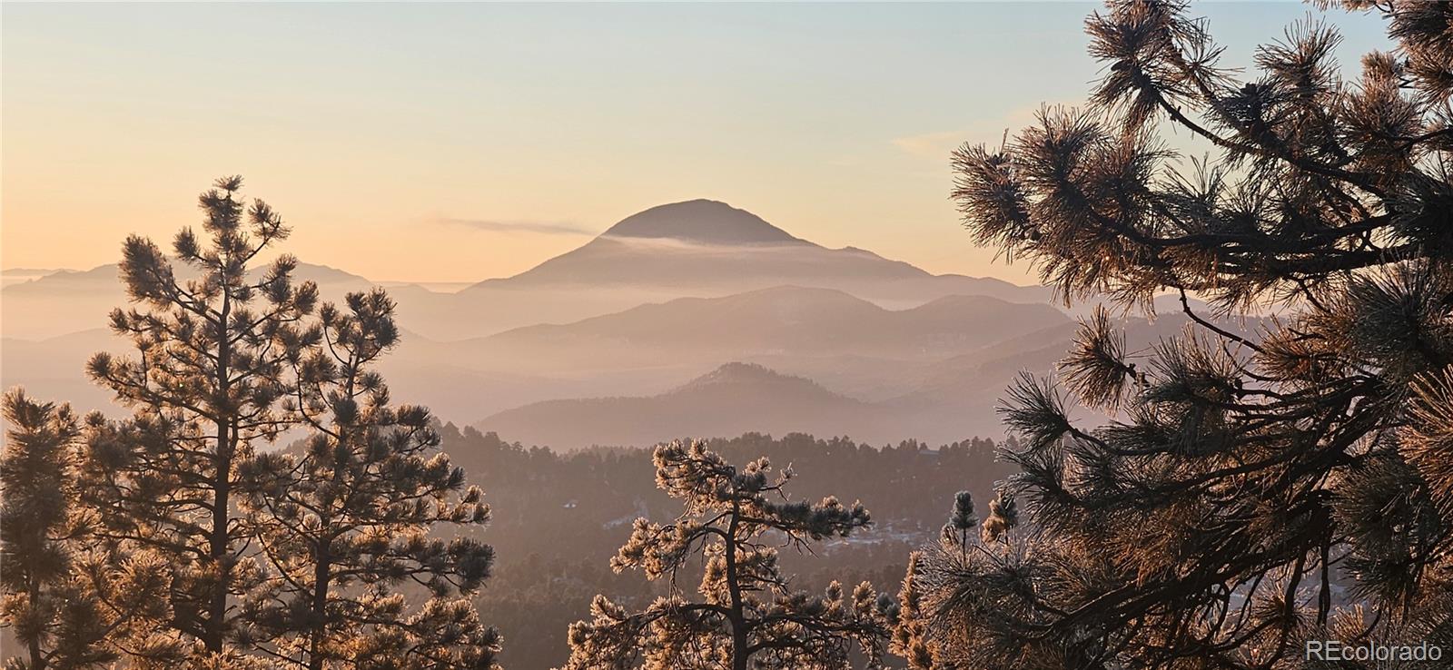 MLS Image #3 for 854  dick mountain drive,bailey, Colorado