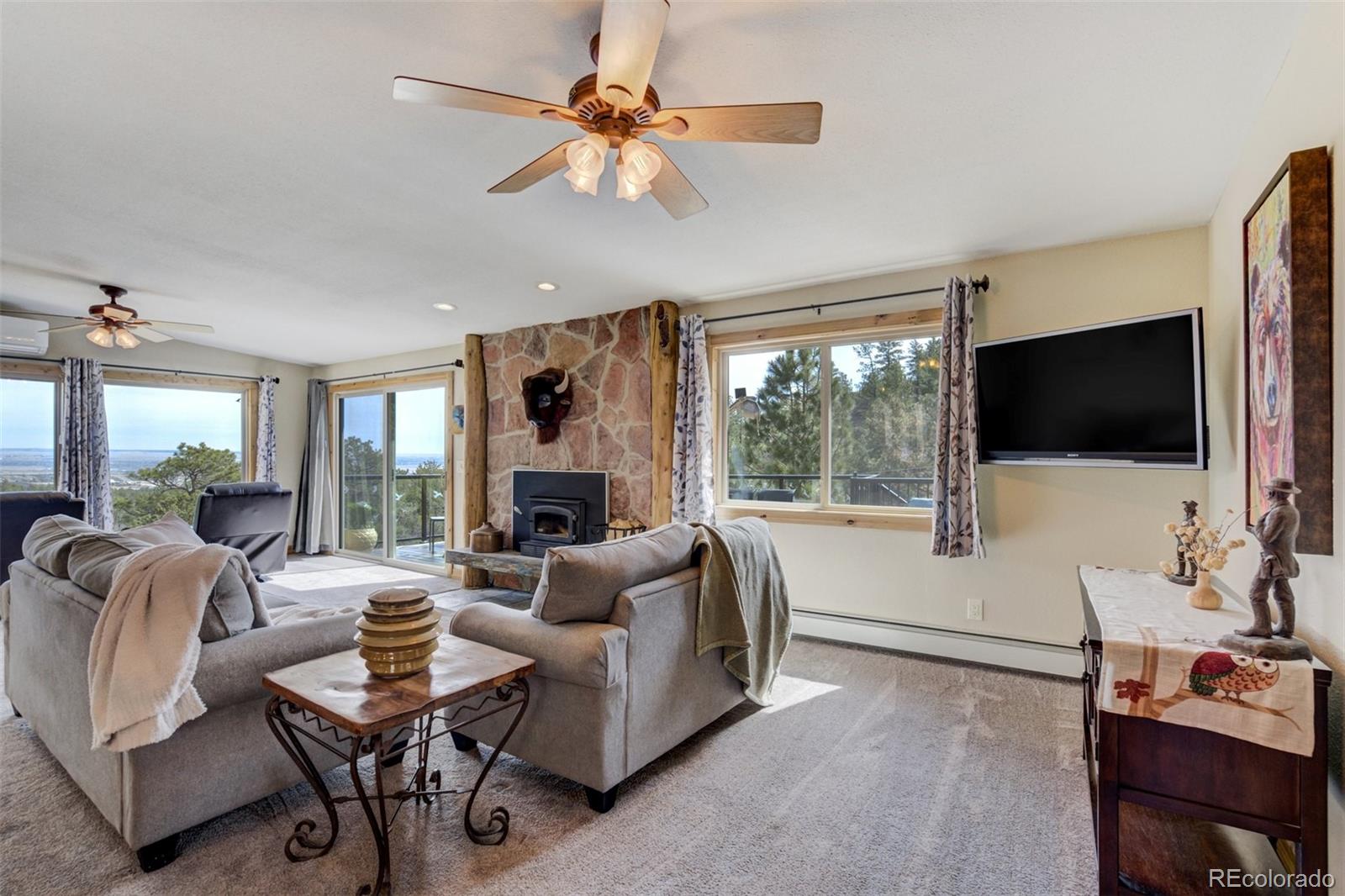MLS Image #9 for 1130  glenrock drive,colorado springs, Colorado