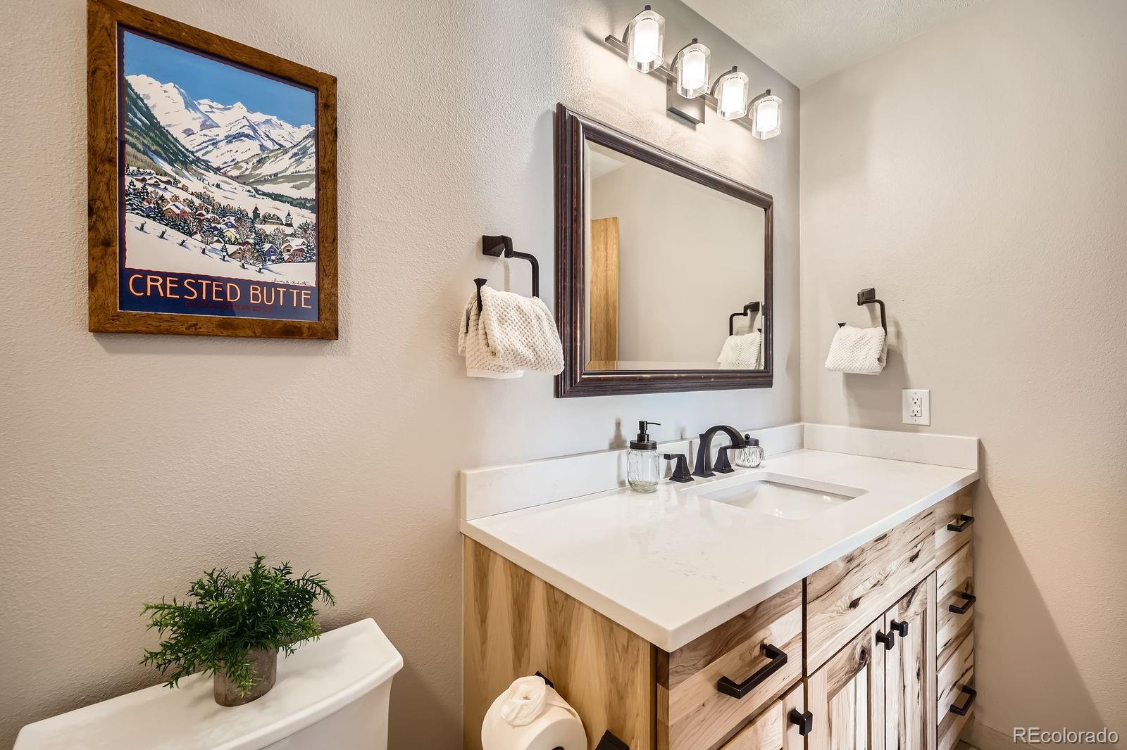 MLS Image #13 for 91400  ryan gulch road,silverthorne, Colorado