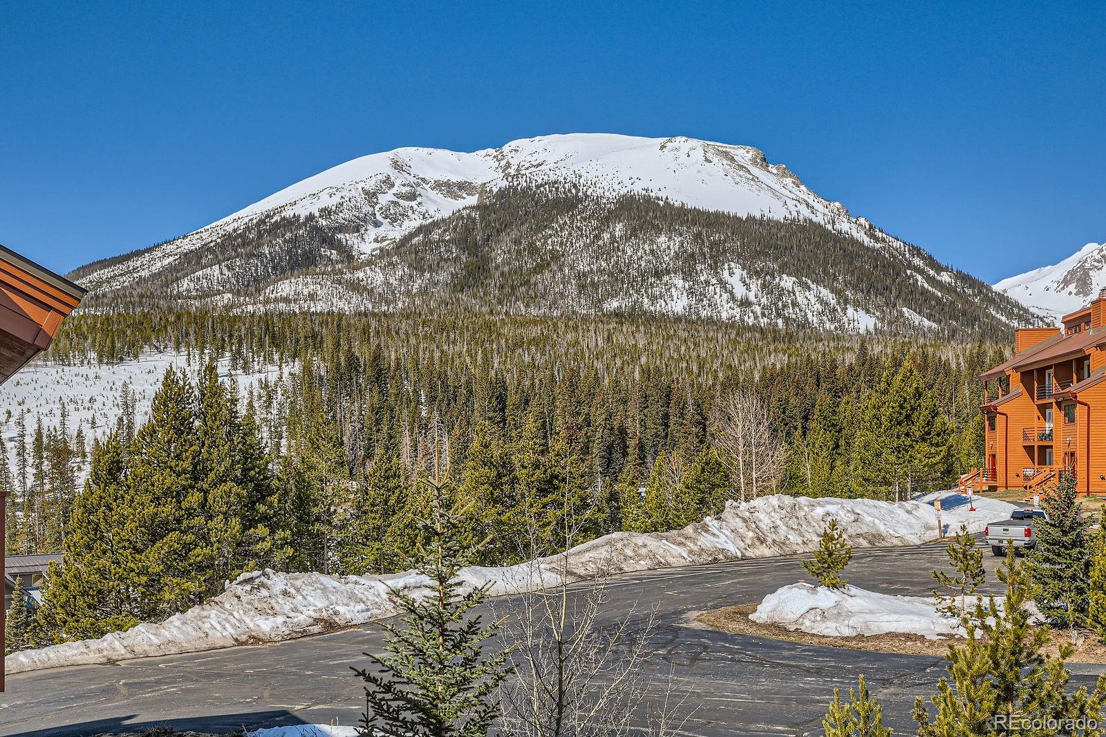 MLS Image #20 for 91400  ryan gulch road,silverthorne, Colorado