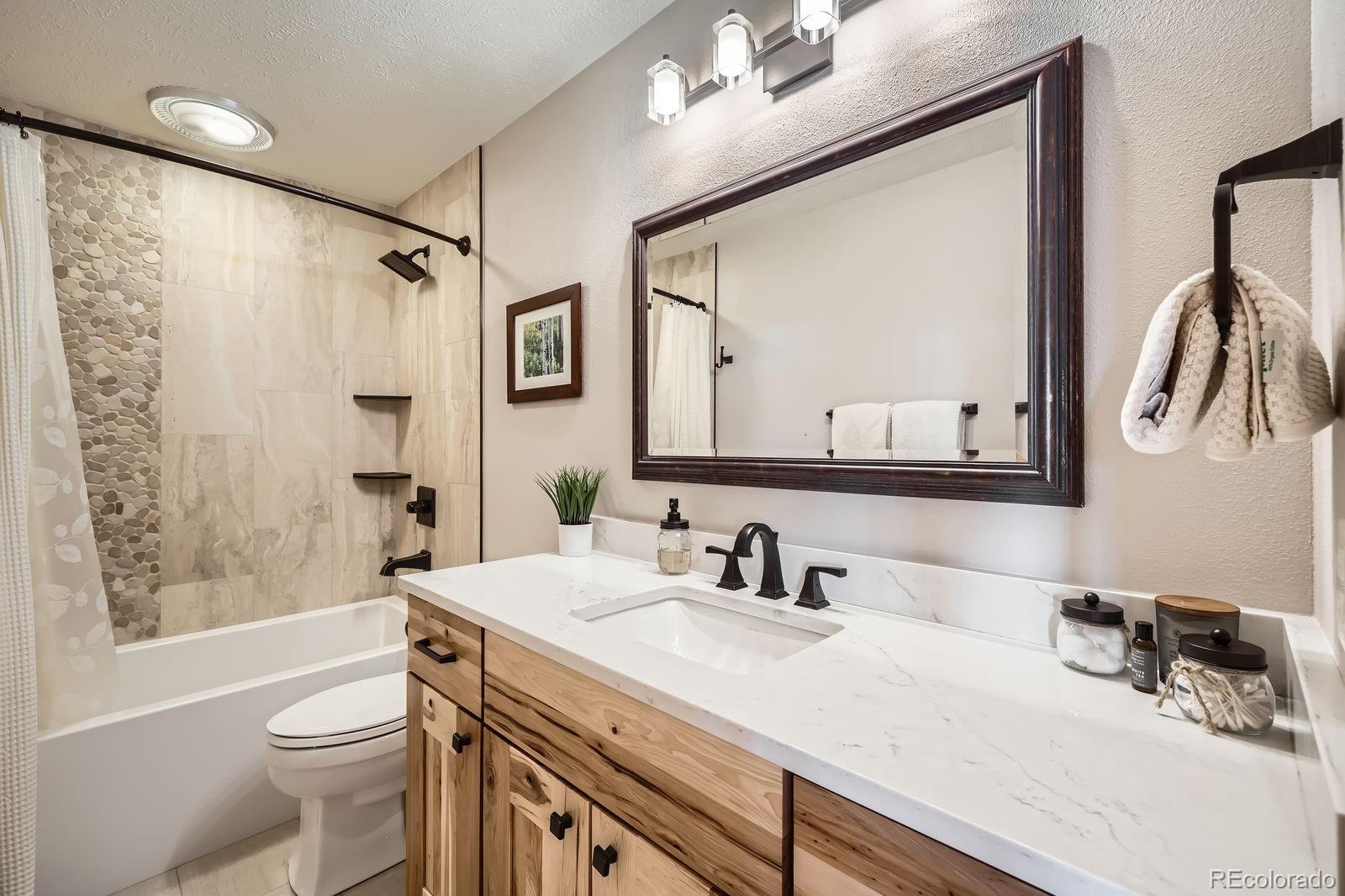 MLS Image #8 for 91400  ryan gulch road,silverthorne, Colorado