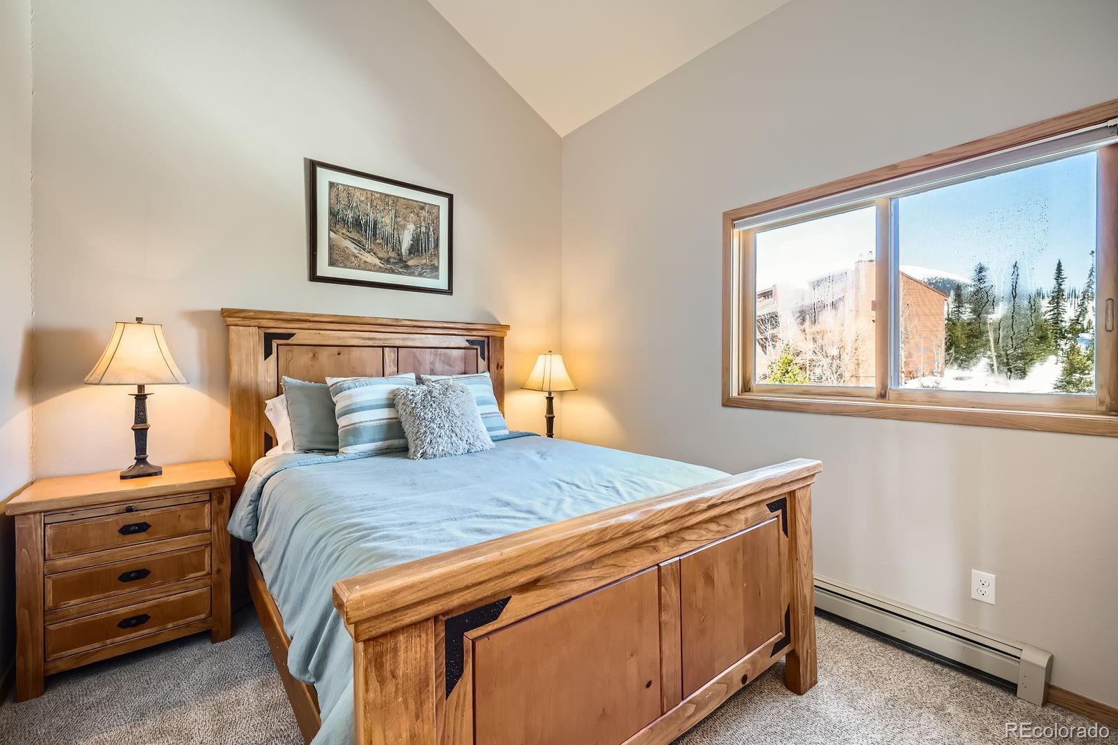 MLS Image #9 for 91400  ryan gulch road,silverthorne, Colorado