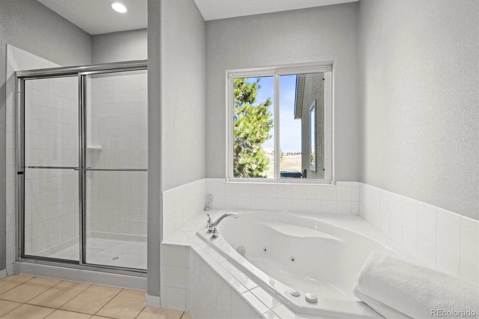 MLS Image #21 for 43097  taos trail,elizabeth, Colorado