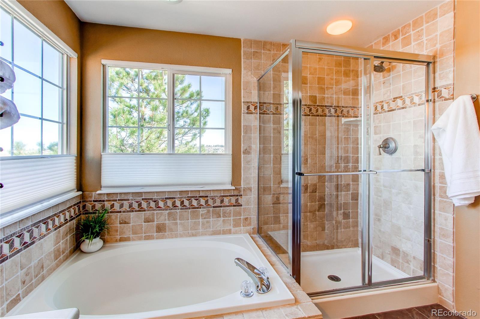 MLS Image #24 for 22261  pebble brook lane,parker, Colorado