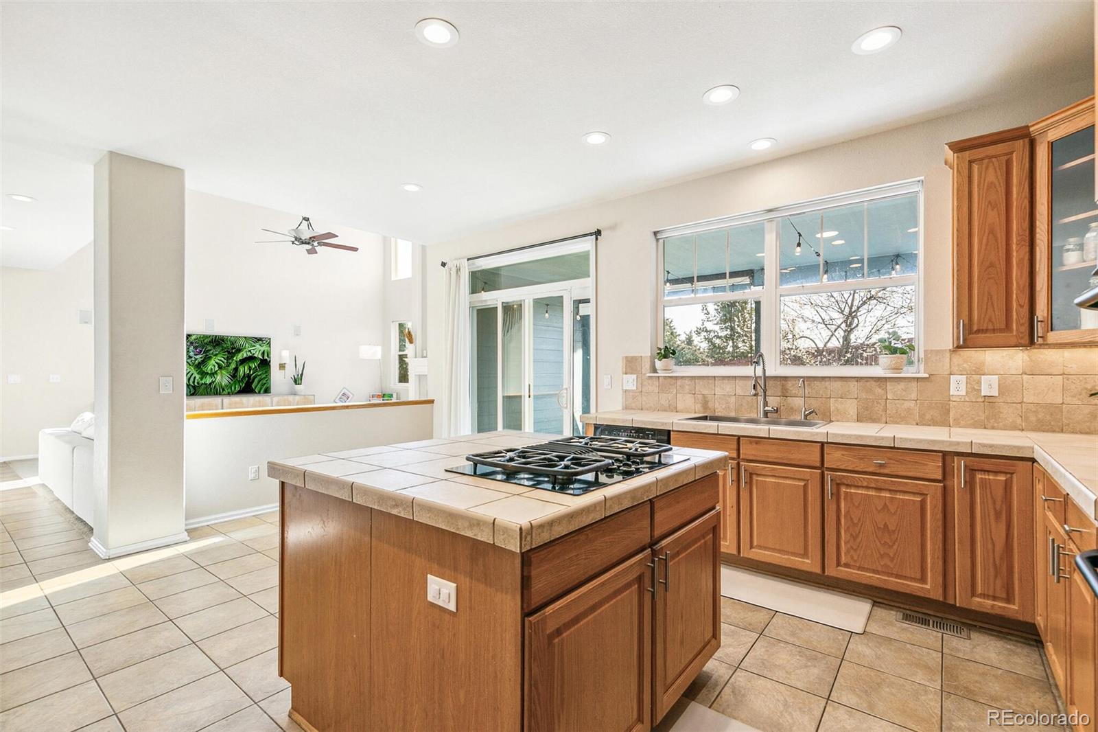 MLS Image #11 for 3532  springbriar drive,castle rock, Colorado