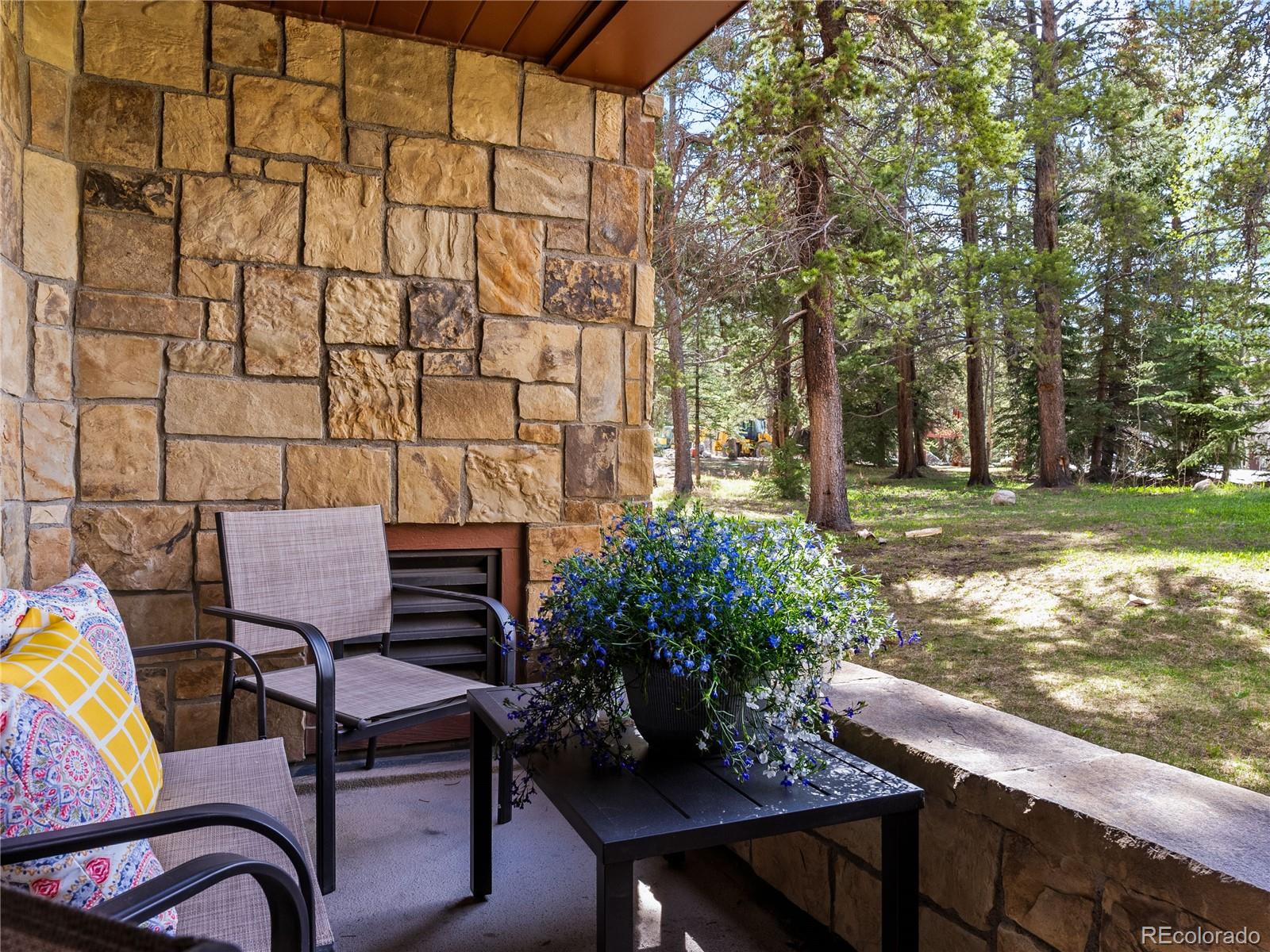 MLS Image #27 for 405  village road,breckenridge, Colorado