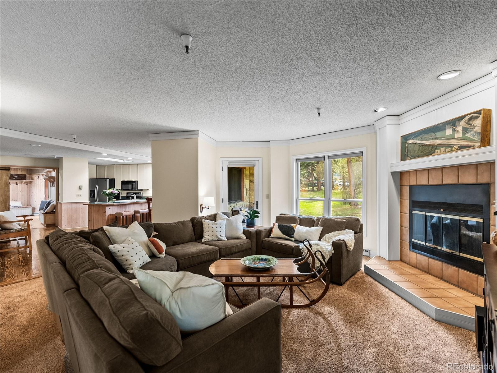 MLS Image #7 for 405  village road,breckenridge, Colorado