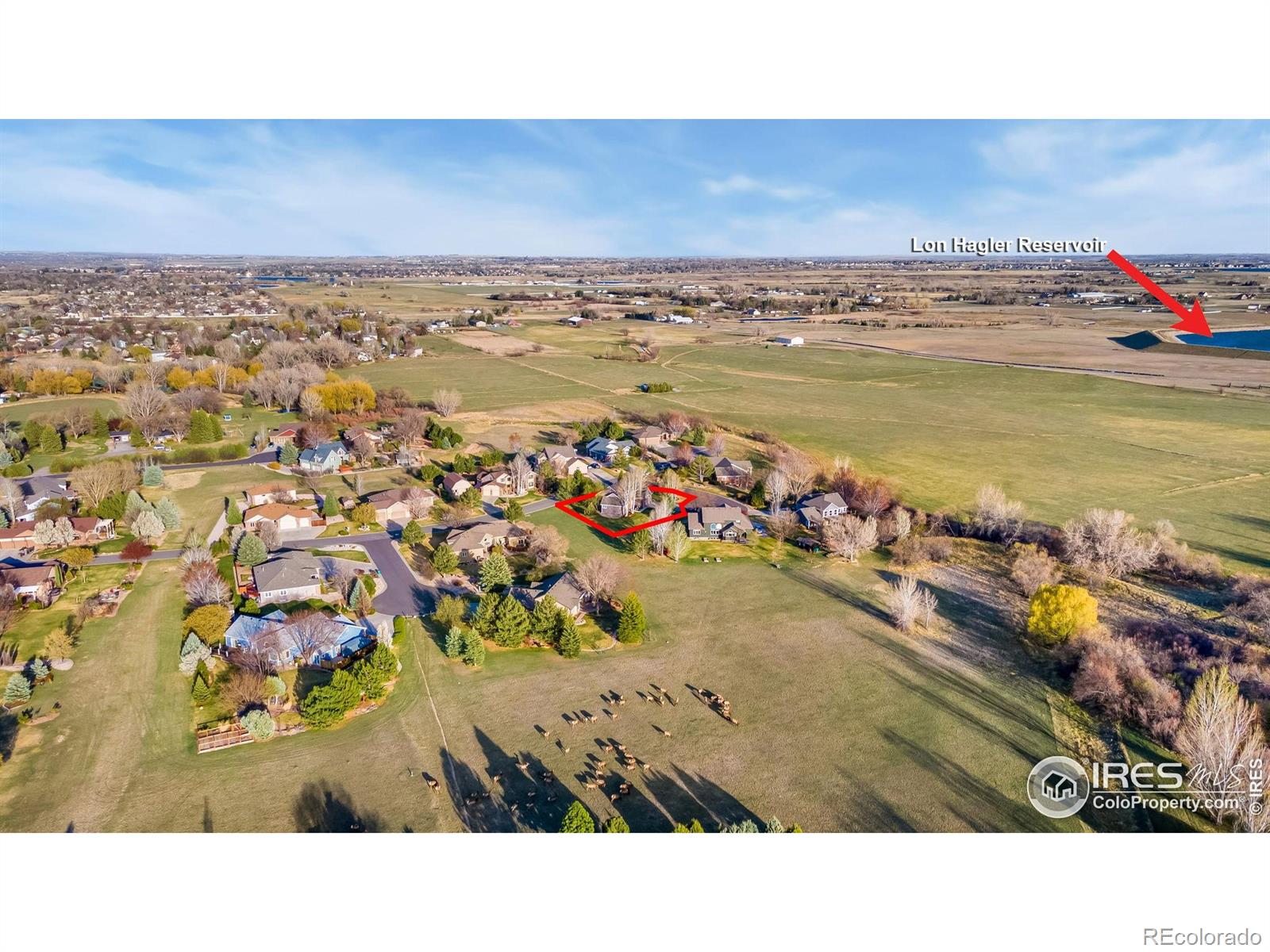 MLS Image #1 for 4939  yoke court,loveland, Colorado