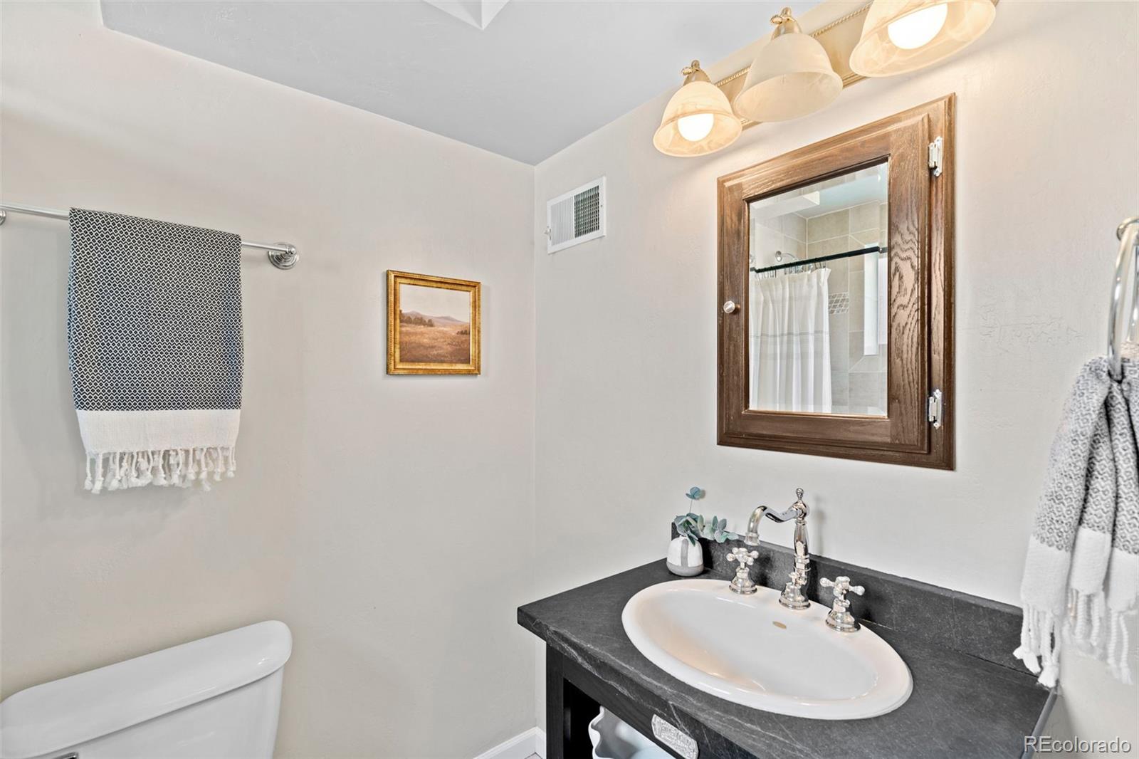 MLS Image #18 for 2047 s milwaukee street,denver, Colorado