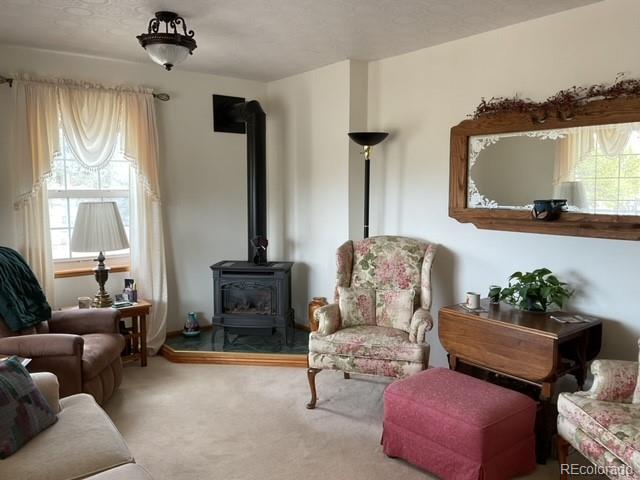 MLS Image #10 for 94  eagle court,hartsel, Colorado