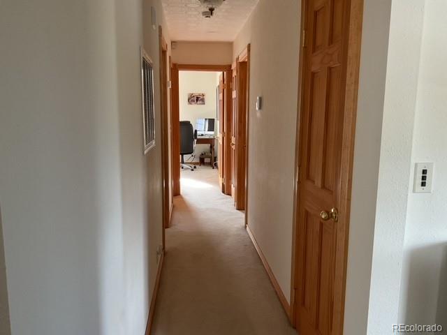 MLS Image #17 for 94  eagle court,hartsel, Colorado