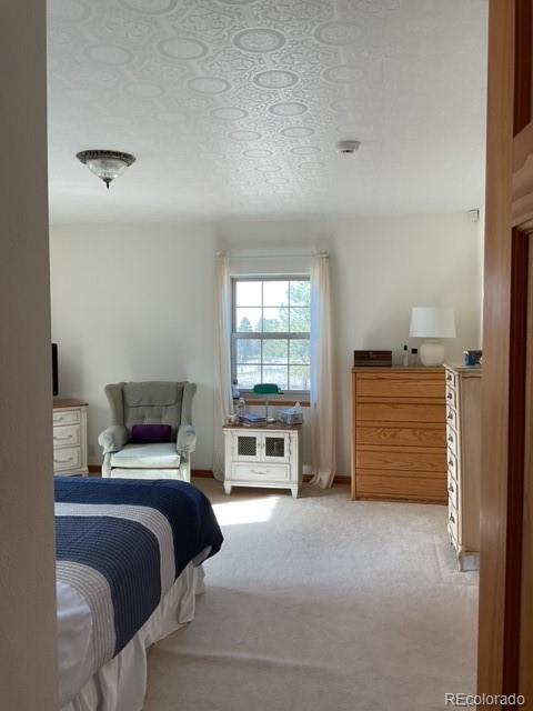 MLS Image #18 for 94  eagle court,hartsel, Colorado