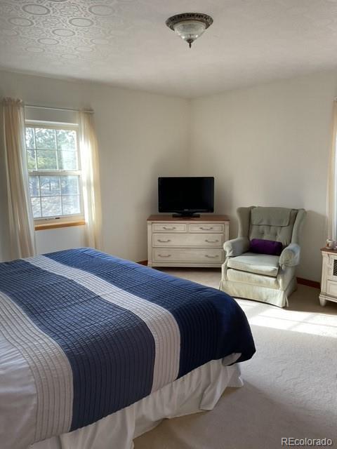 MLS Image #19 for 94  eagle court,hartsel, Colorado