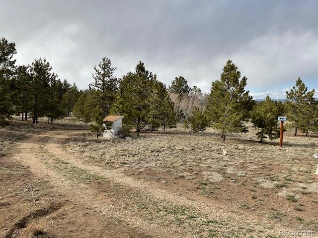 MLS Image #5 for 94  eagle court,hartsel, Colorado