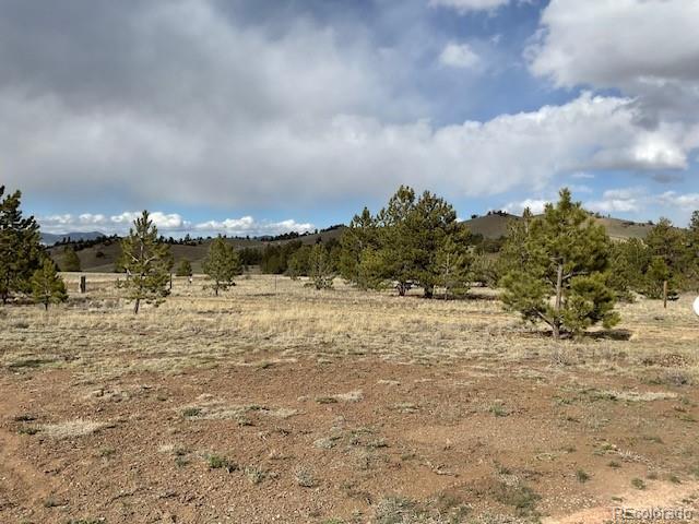 MLS Image #6 for 94  eagle court,hartsel, Colorado