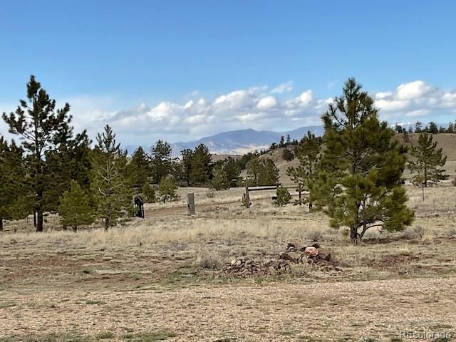 MLS Image #7 for 94  eagle court,hartsel, Colorado
