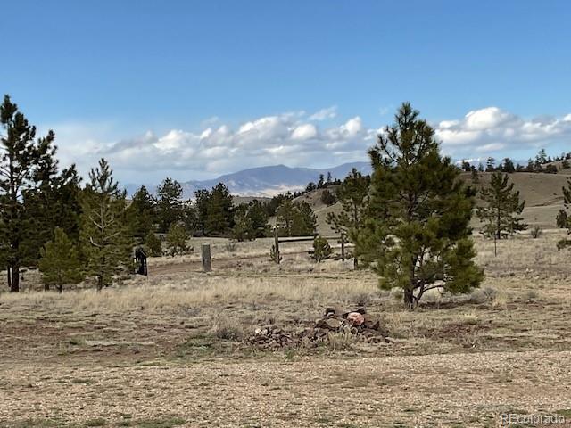 MLS Image #8 for 94  eagle court,hartsel, Colorado