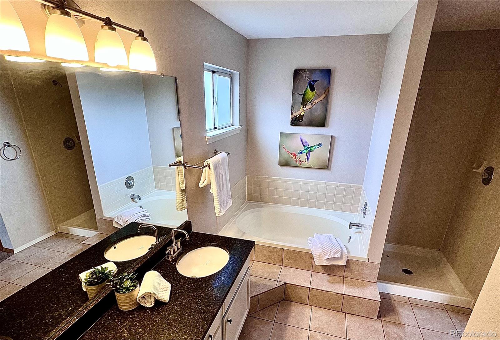 MLS Image #15 for 9686 w 106th avenue,broomfield, Colorado