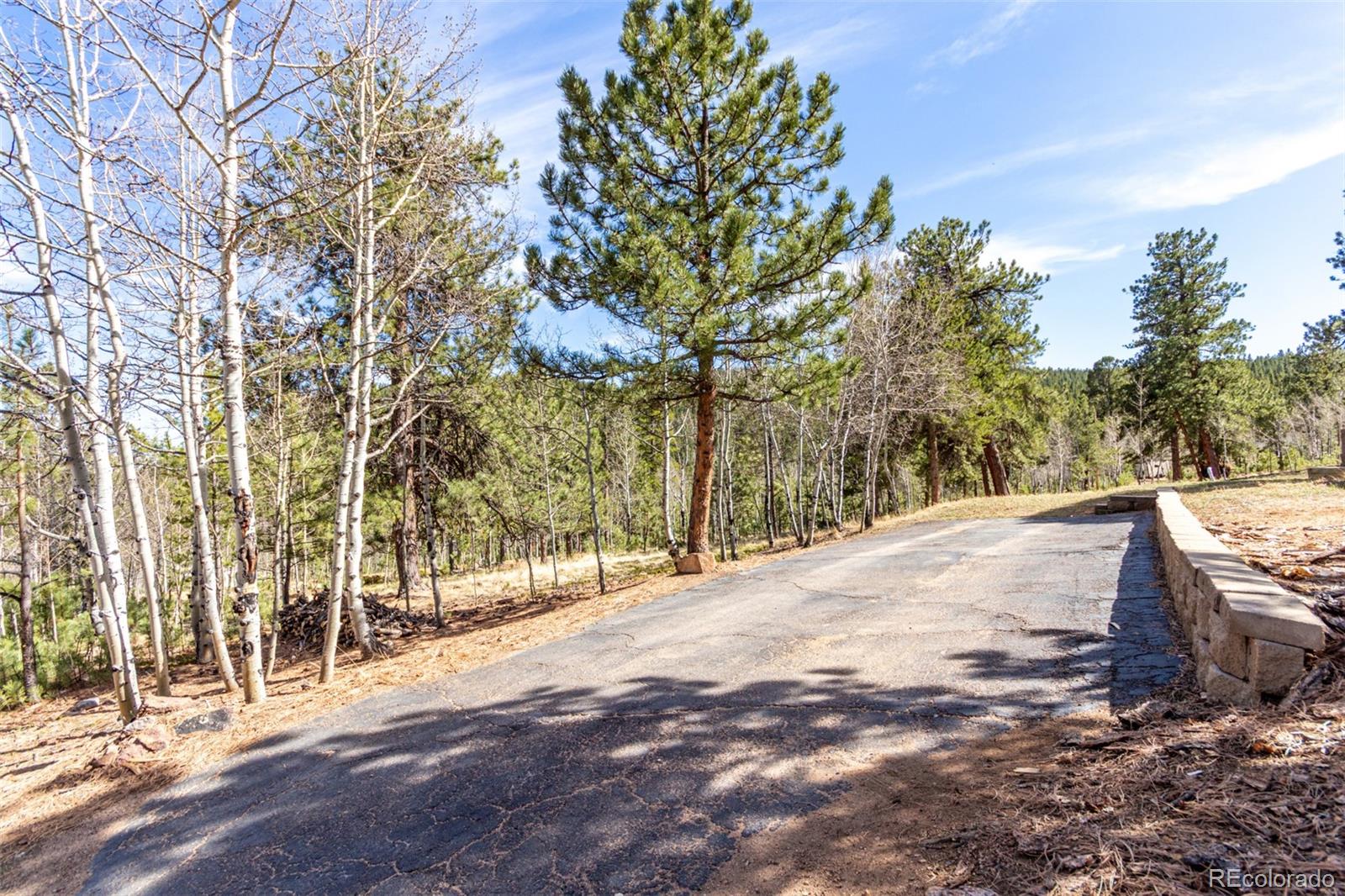 MLS Image #40 for 116  schooley road,bailey, Colorado