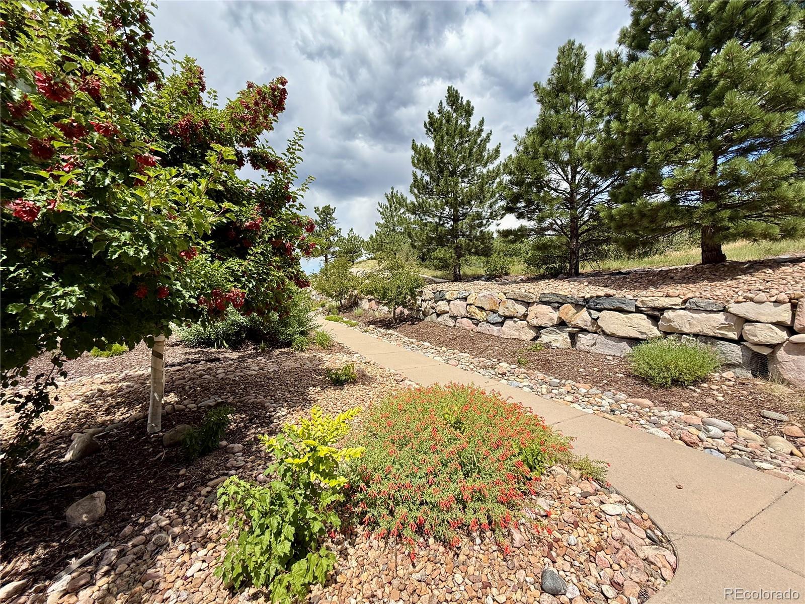 MLS Image #29 for 553  hanging rock place,castle rock, Colorado