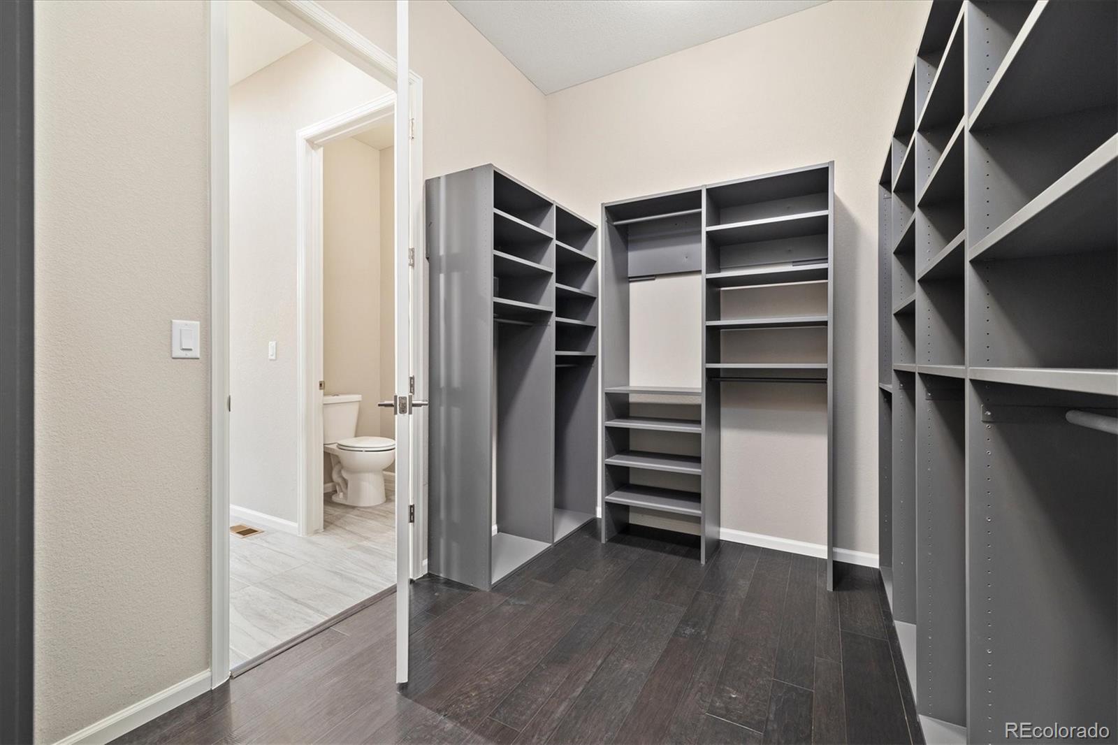 MLS Image #11 for 6725  mentha drive,castle rock, Colorado