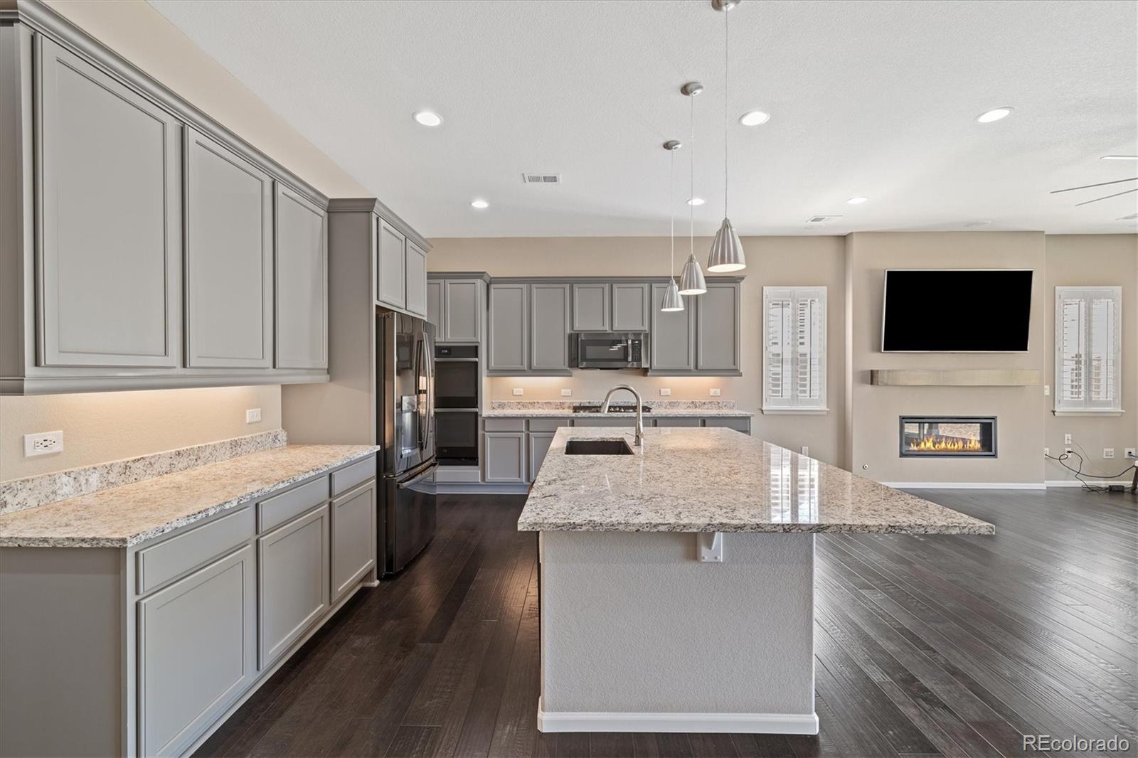 MLS Image #4 for 6725  mentha drive,castle rock, Colorado