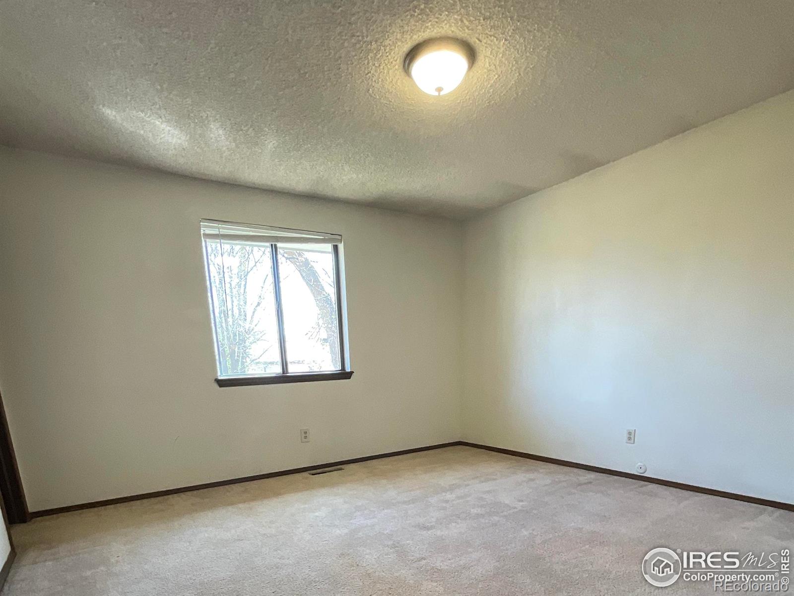 MLS Image #10 for 1525  peterson place,longmont, Colorado