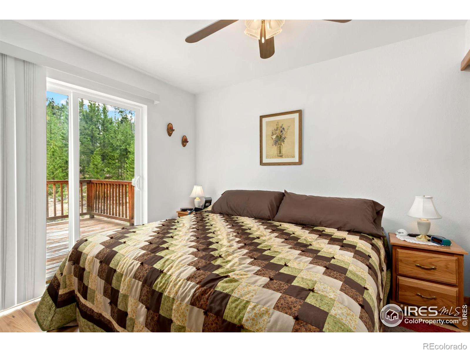 MLS Image #7 for 67  timicua court,red feather lakes, Colorado
