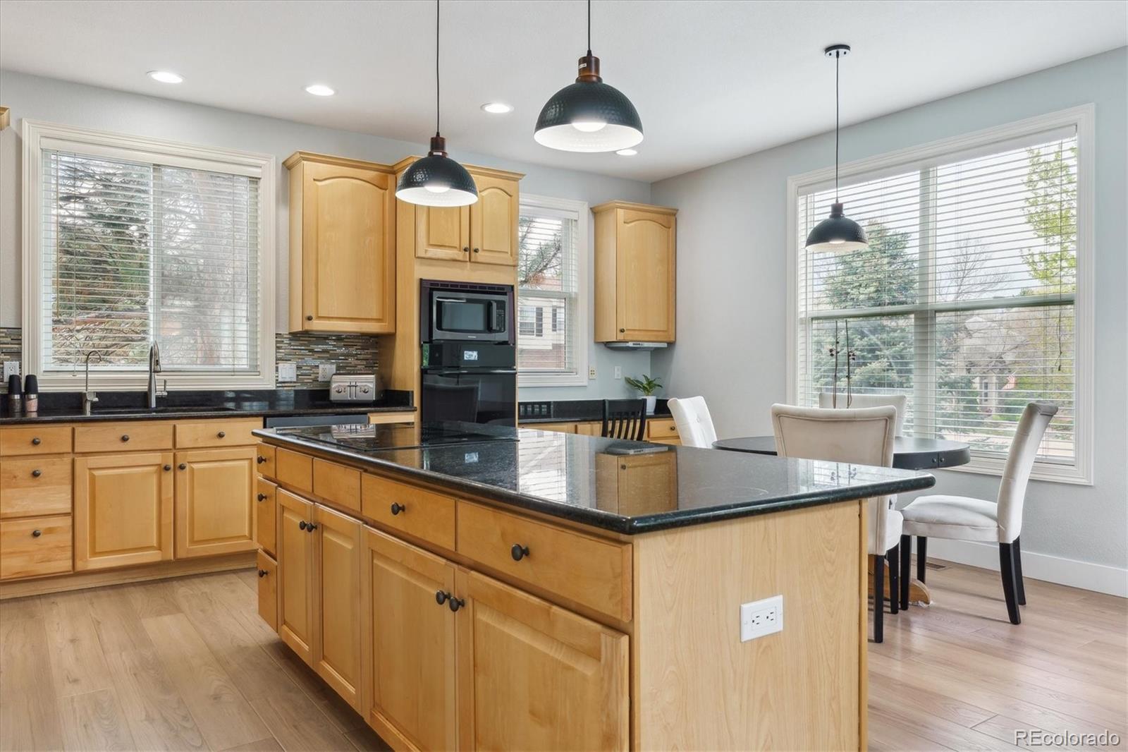 MLS Image #10 for 10029  winterthur court,highlands ranch, Colorado