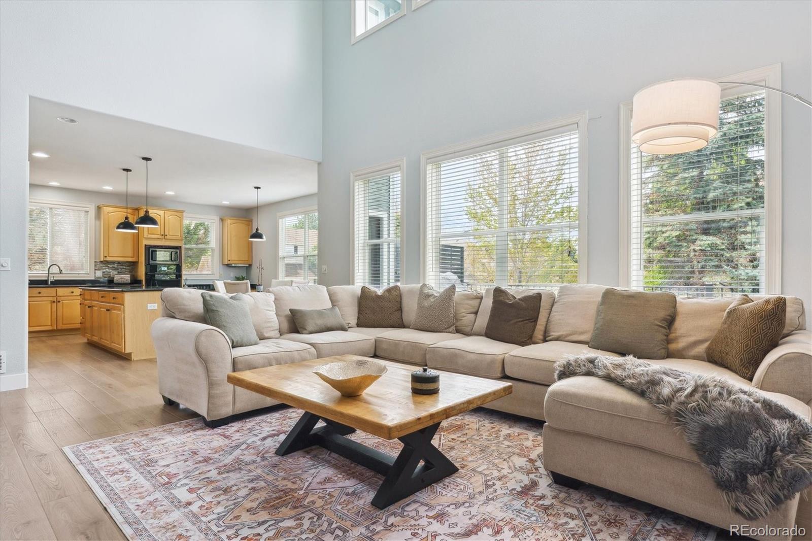 MLS Image #14 for 10029  winterthur court,highlands ranch, Colorado