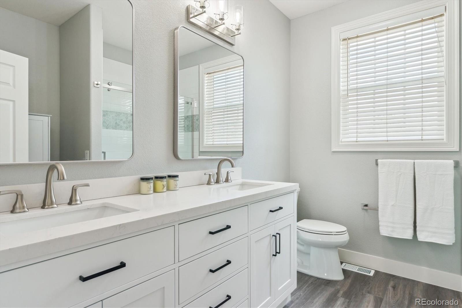 MLS Image #23 for 10029  winterthur court,highlands ranch, Colorado