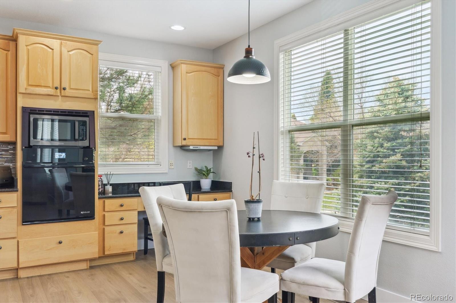 MLS Image #8 for 10029  winterthur court,highlands ranch, Colorado