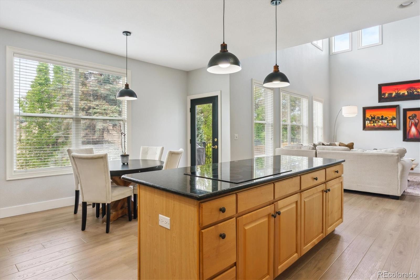 MLS Image #9 for 10029  winterthur court,highlands ranch, Colorado