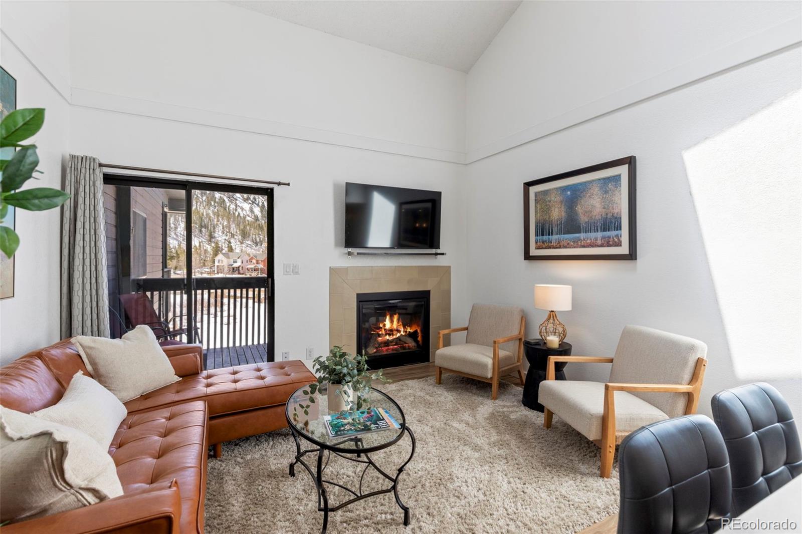 MLS Image #9 for 805 s 5th avenue,frisco, Colorado