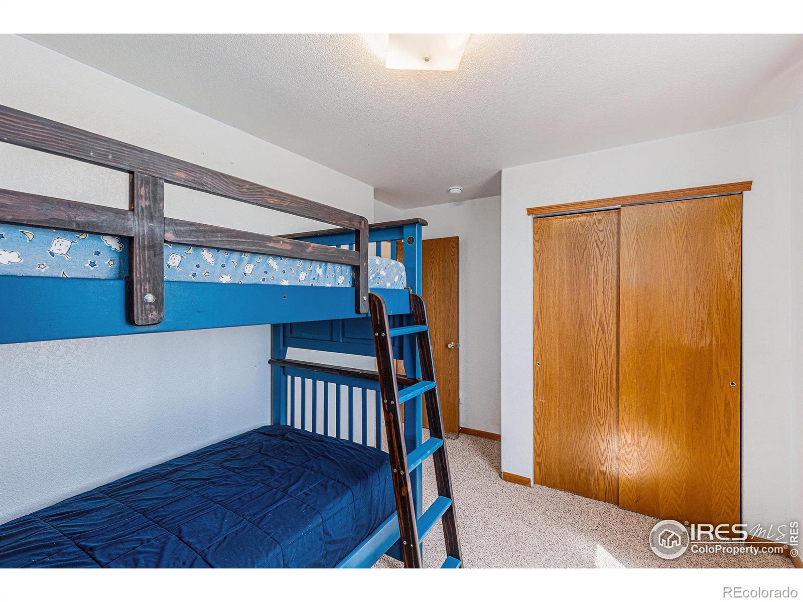 MLS Image #20 for 341  hickory avenue,eaton, Colorado