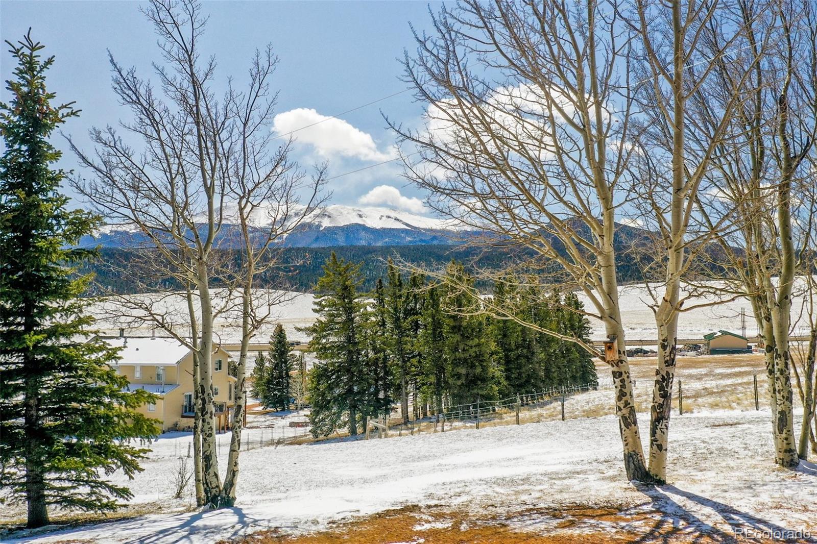 MLS Image #43 for 251  county road 25 ,divide, Colorado