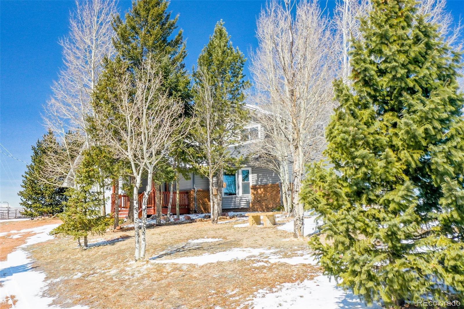 MLS Image #6 for 251  county road 25 ,divide, Colorado