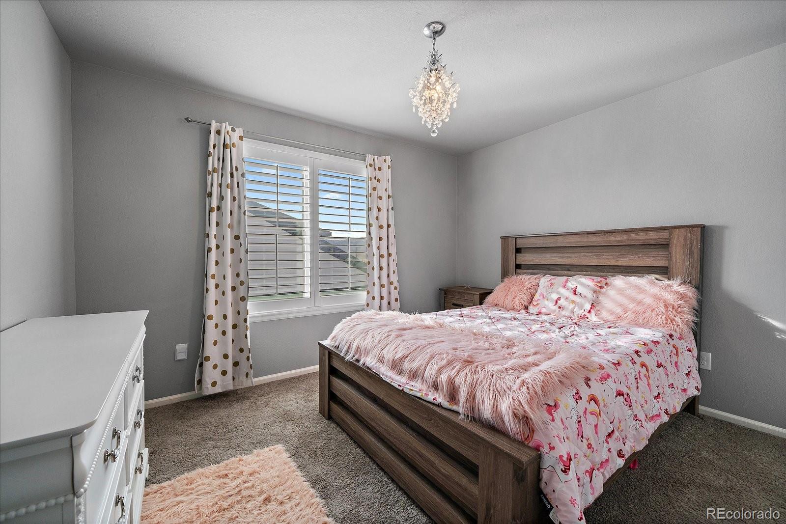 MLS Image #18 for 8695  torrey street,arvada, Colorado