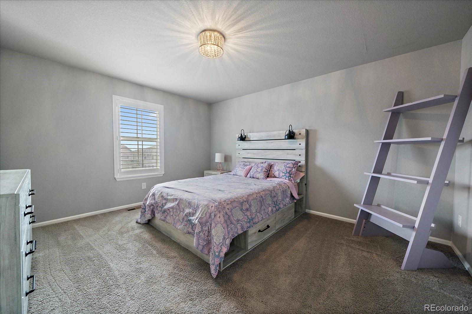 MLS Image #19 for 8695  torrey street,arvada, Colorado
