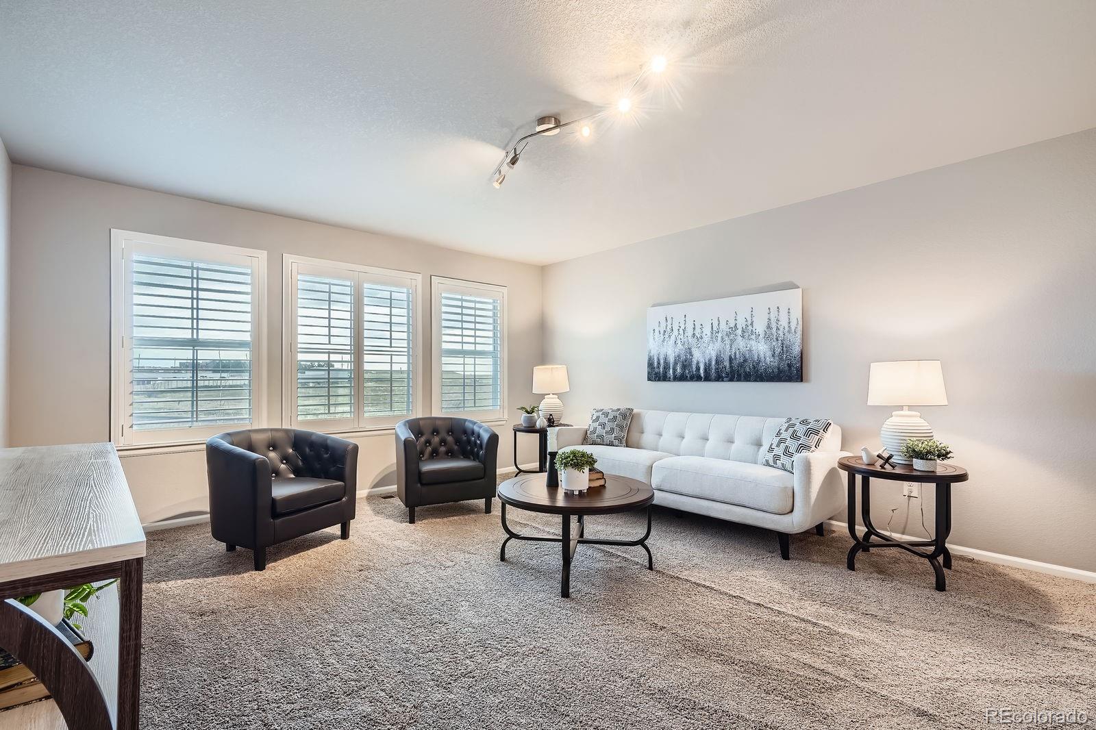 MLS Image #24 for 8695  torrey street,arvada, Colorado