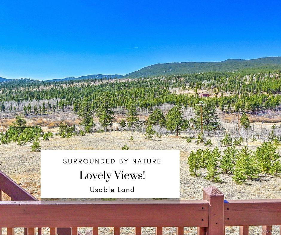 MLS Image #46 for 278  clark road,bailey, Colorado