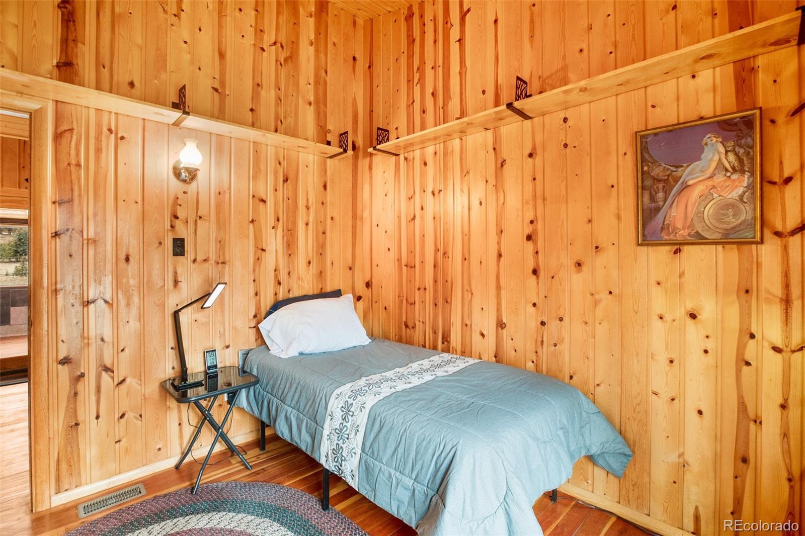 MLS Image #9 for 158  brook drive,lake george, Colorado