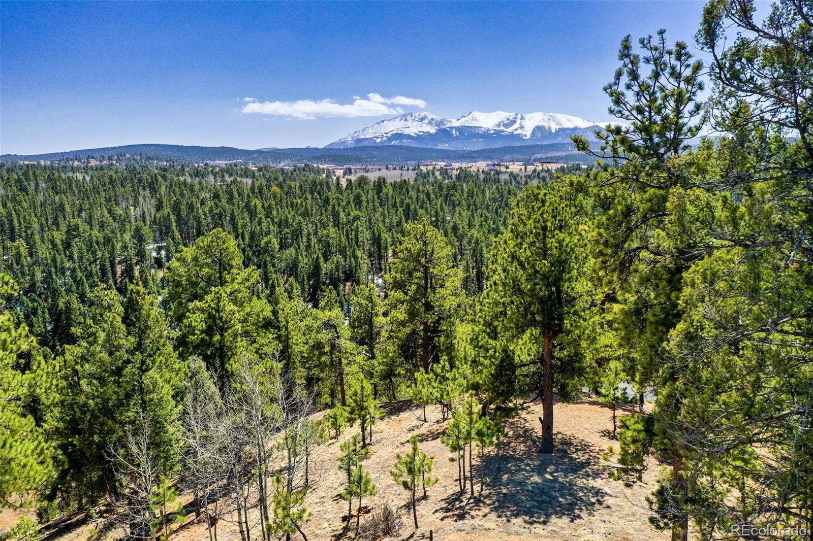 MLS Image #10 for 131  aspen drive,woodland park, Colorado