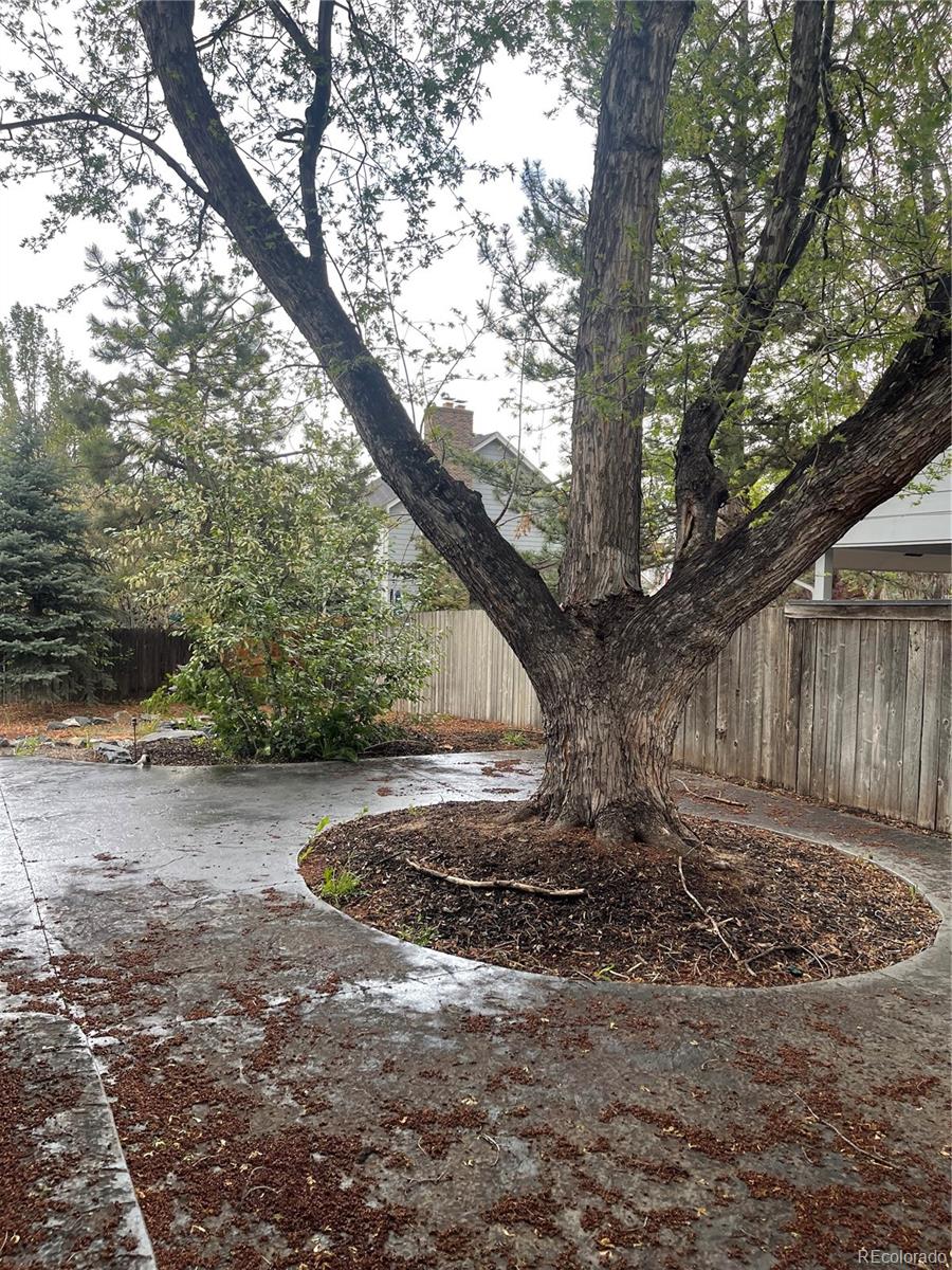 MLS Image #42 for 12381 e vassar drive,aurora, Colorado