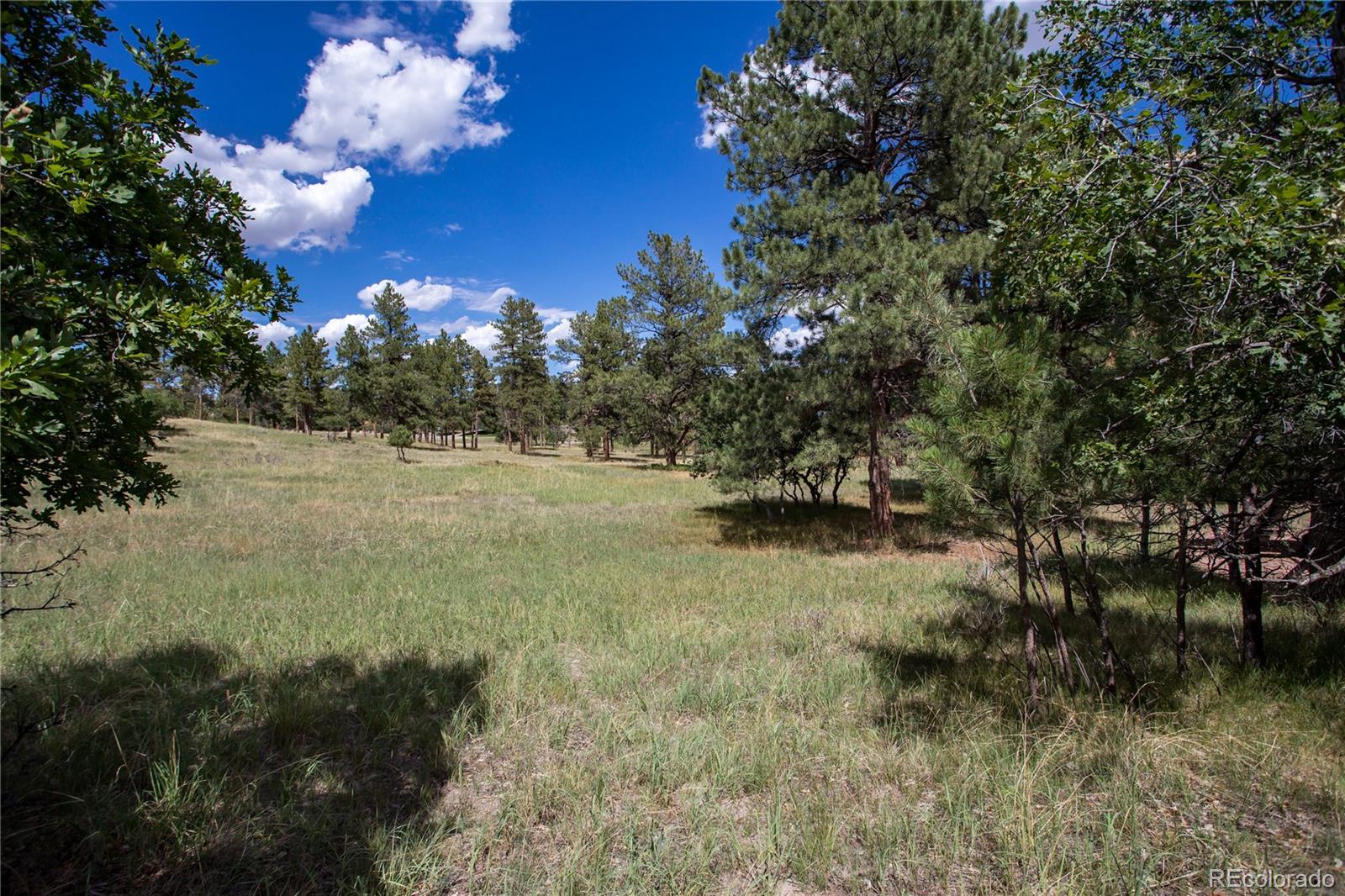 MLS Image #44 for 5170  pinyon jay road,parker, Colorado