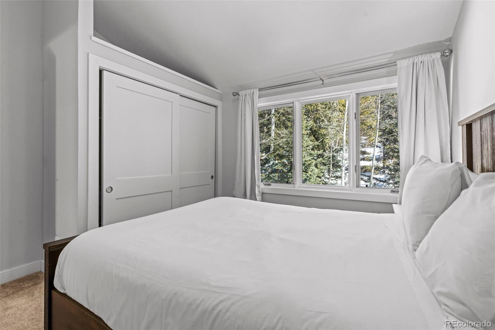 MLS Image #28 for 112  illinois gulch road 6,breckenridge, Colorado