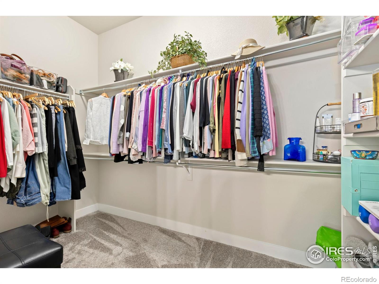 MLS Image #20 for 174  high point drive,longmont, Colorado